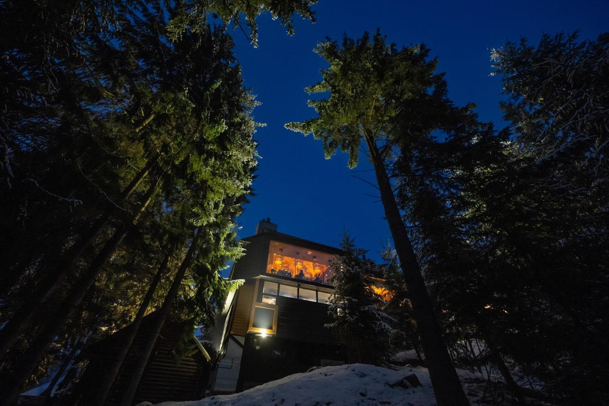 Stara Pravda Villas Bukovel Eksteriør billede